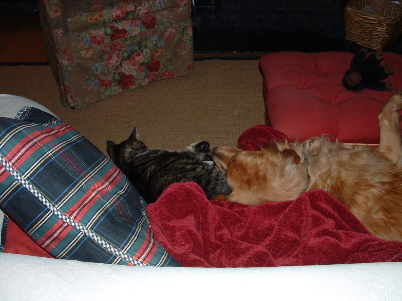 #bestbuds